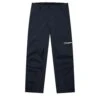 BERGHAUS Men Mountain Seeker Gore Tex Pant - Regenhose -Ice Break Men 4 A001225BP6 Y1