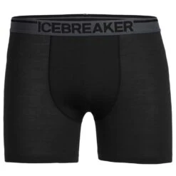 ICEBREAKER Anatomica Boxers Men - Boxershort