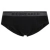 ICEBREAKER Anatomica Briefs Men - Unterhose