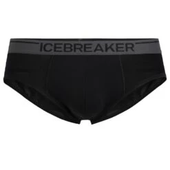 ICEBREAKER Anatomica Briefs Men - Unterhose