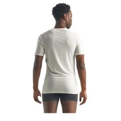 ICEBREAKER Anatomica SS Crewe Men - Funktionsshirt -Ice Break Men icebreaker m anatomica ss crewe snow 104 2101 3