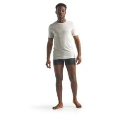 ICEBREAKER Anatomica SS Crewe Men - Funktionsshirt -Ice Break Men icebreaker m anatomica ss crewe snow 104 2101 4