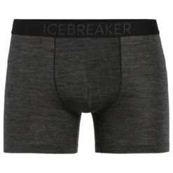 ICEBREAKER Anatomica Cool-Lite Boxers Men - Boxershorts